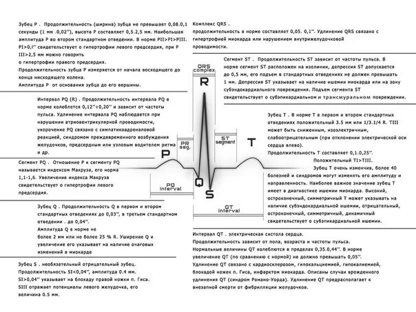 Амплитуда зубца r. Высота зубцов на экг в норме. норма длительности зубцов экг. высота зубца r в норме. нормы экг шпаргалка.