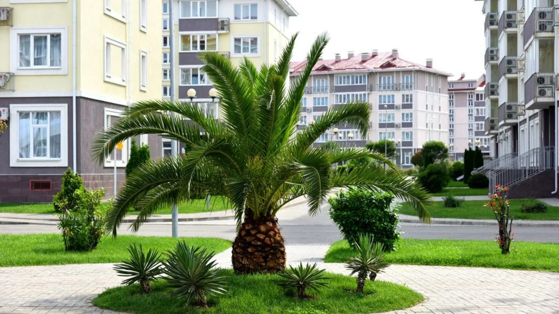 дом сад сочи. дом сад сочи. бархатные сезоны александровский сад. александровский сад сочи отель. александровский сад сочи.