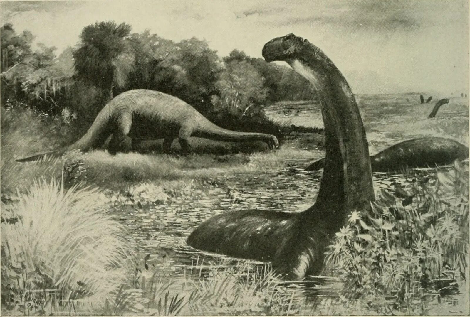Бронтозавр анонимус слушать. Brontosaurus excelsus. бронтозавр фильм. бронтозавр откладывает яйцо. познакомься, это... динозавры.
