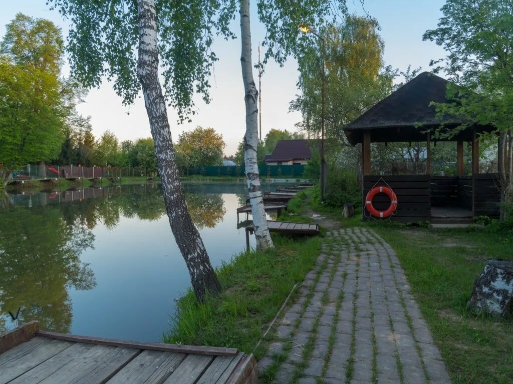 Платная рыбалка Петряиха Рузский район. Фишка Липки пруд. Фишка Липки платная рыбалка. Пруд деревня Липки.