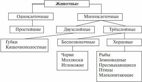 Группа многоклеточных организмов
