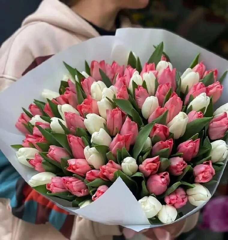 Букет из 23 тюльпанов. 21 тюльпан букет. Тюльпаны в сумочке. Тюльпаны в сумочке. Тюльпан микс.