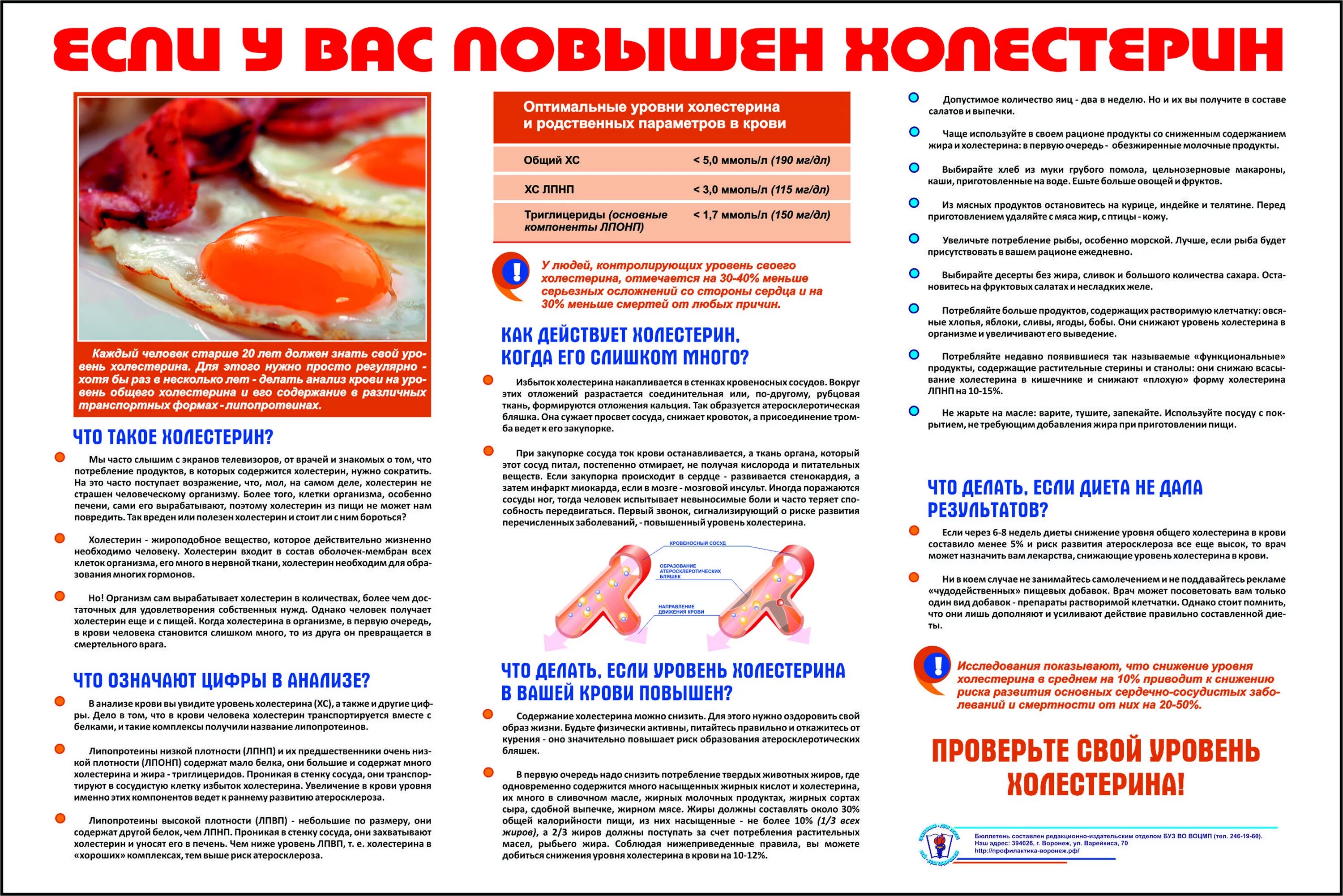 Повышение холестерина у мужчин. Памятка при повышенном холестерине у женщин. Холестерин повышен. Попашенный хоростерин. Памятка для пациента.