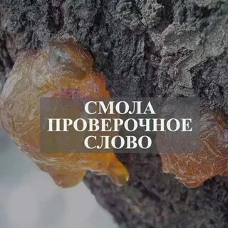 Смола проверочное