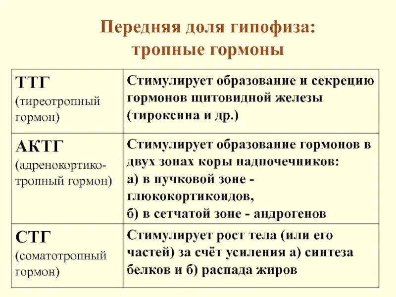 Действия гипофиза. Гипофиз тропные гормоны таблица. Функции гормонов передней доли гипофиза. Гормоны передней доли гипофиза химическая природа. Гормоны передней доли гипофиза и задней доли гипофиза.