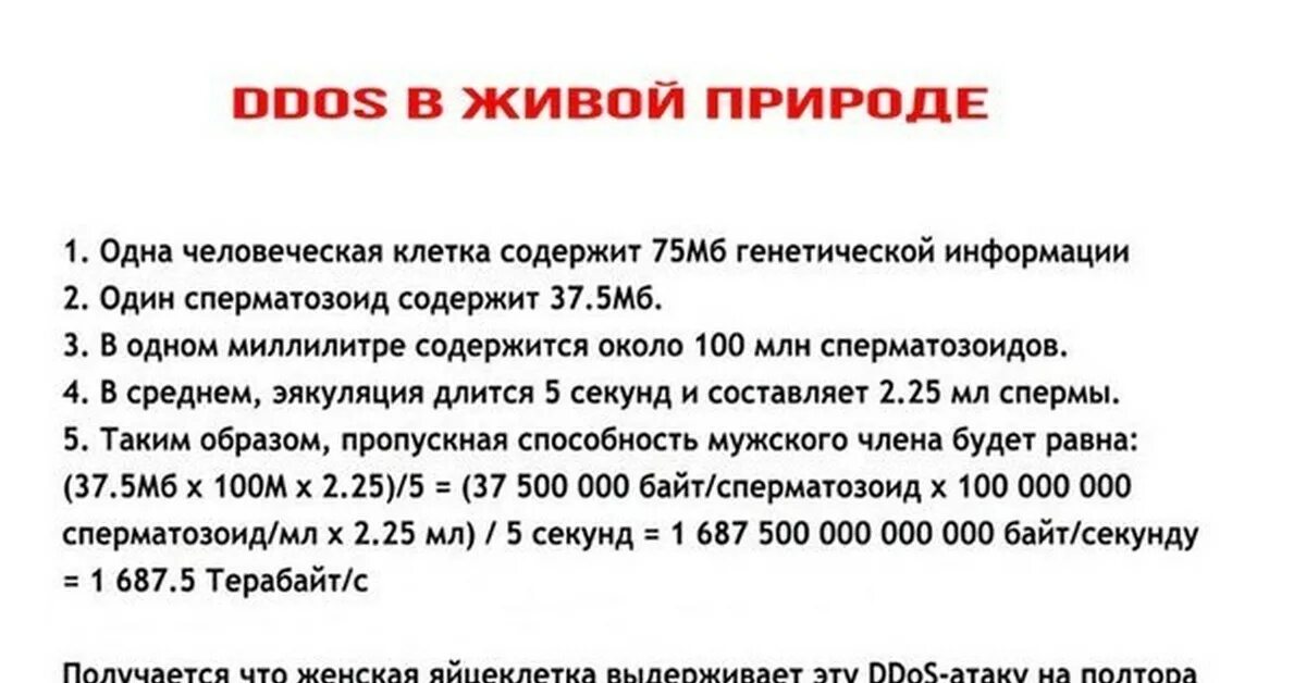Ddos атакой является ит диктант. Спам ddos-атака. мемы ddos. уровни защиты ддос. переживший ддос.