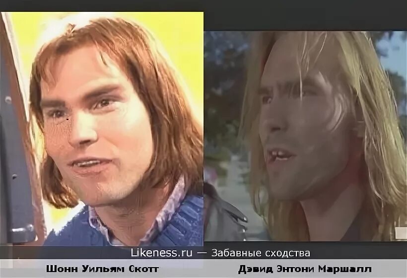 Дэвид энтони маршалл. Дэвид энтони маршалл и шон уильям скотт. дэвид энтони маршалл, шон уильямс скотт. шонн стена обсуждения.