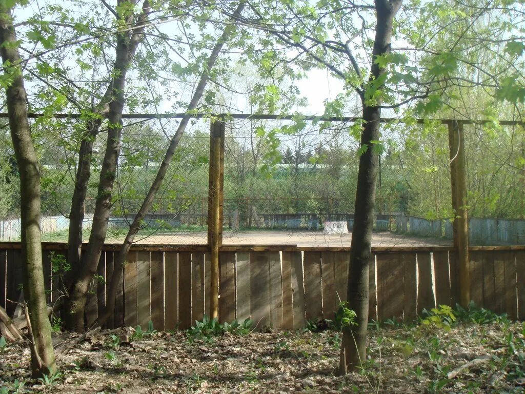 тц городок лесной городок. игроград дачный поселок лесной городок. игроград дачный поселок лесной городок. вэйпарк космик детский центр. игроград дачный поселок лесной городок.