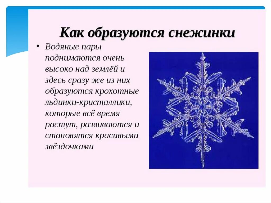 Почему снежинки бывают разные впр 4 класс. Снежинки для презентации. Тема для презентации снежинки. Интересные факты о снежинках. Интересные факты о снежинках для детей.