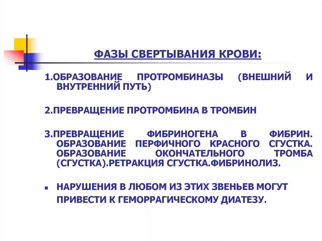 Схема этапов и фаз свертывания крови