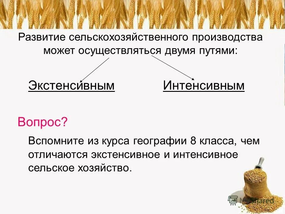 товарное и потребительское сельское хозяйство. экстенсивный и интенсивный типы земледелия своими словами. методы ведения хозяйства. экстенсивный тип экономического роста. экстенсивный путь освоения планеты это.