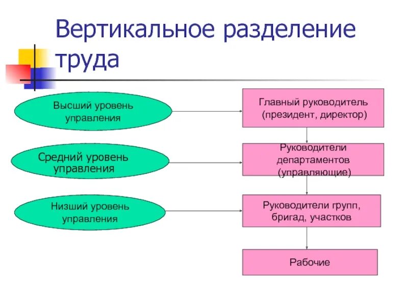 Функции управления разделение управленческого труда. Горизонтальное разделение труда схема. вертикальное разделение труда пример. вертикальное разделение труда схема. горизонтальное и вертикальное разделение труда в менеджменте.