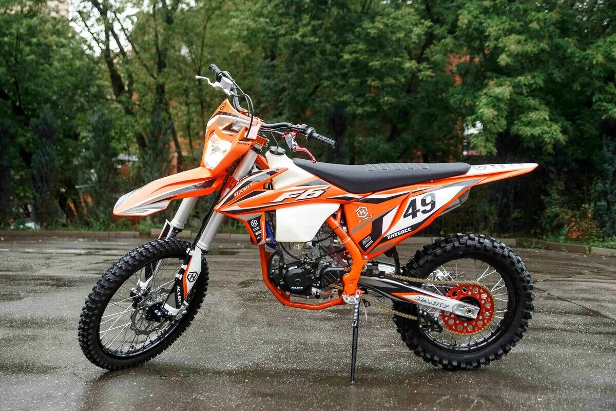 Хаски ф7. Husky f7. Хаски луиза. Сибирский хаски выставочный. Хаски ф7.