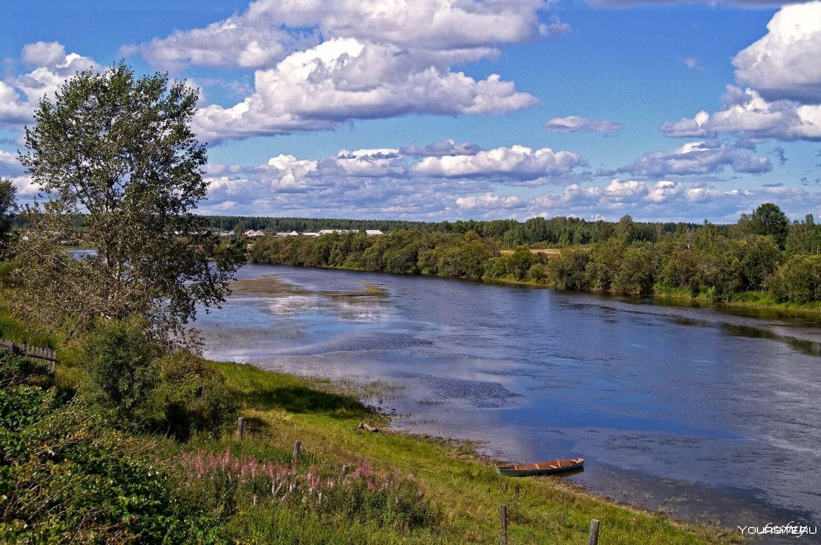 Бережок реки. Высокий берег реки Шелонь. Река Шелонь. Устюжна берег реки. Река Шелонь фото.