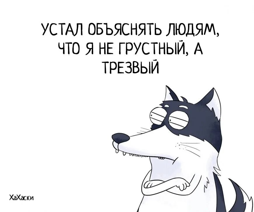 Устал объяснять. Устал объяснять людям что я не грустный а трезвый. Устал объяснять что я не грустный. Хахаски картинки прикольные. Хахаски картинки прикольные с юмором.