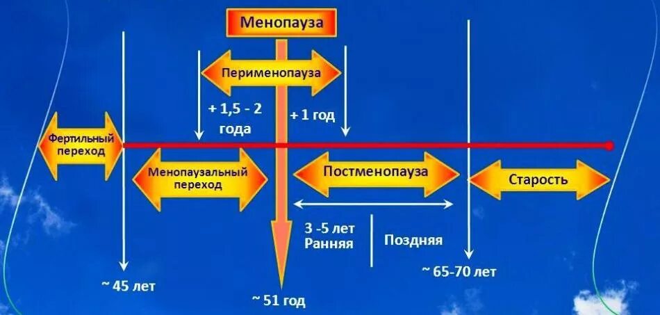 Крови после менопаузы. Менопауза перименопауза. Пременопауза перименопауза постменопауза. Климактерический период схема. Периоды перименопауза постменопауза.