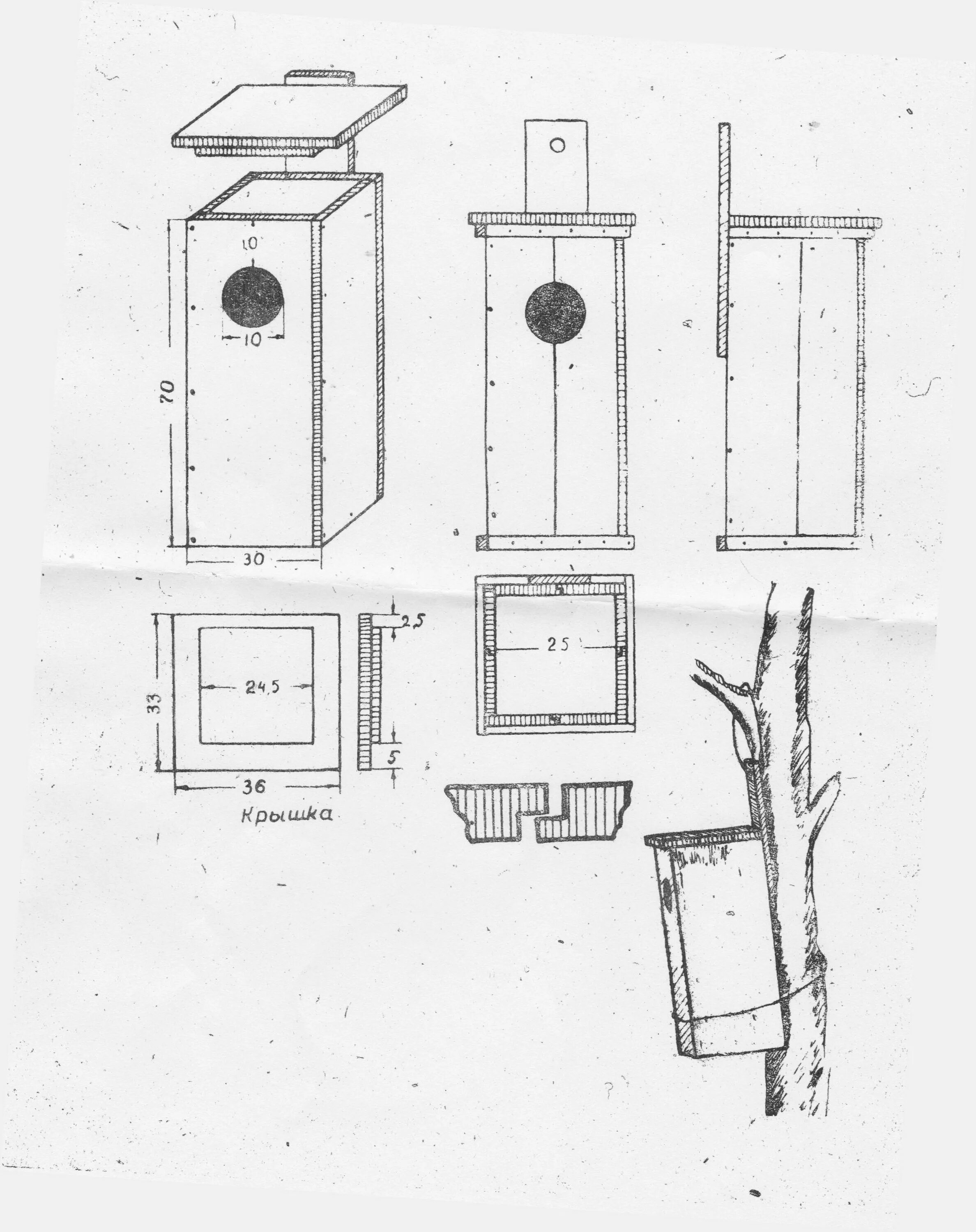 Размеры скворечника для Скворцов чертеж. Дуплянки для Гоголя утки. Дуплянка для Гоголя. Дуплянка для Гоголя размер.