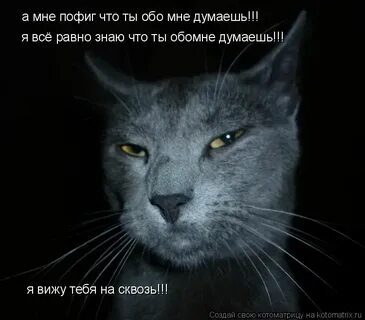 Это не то что вы думали