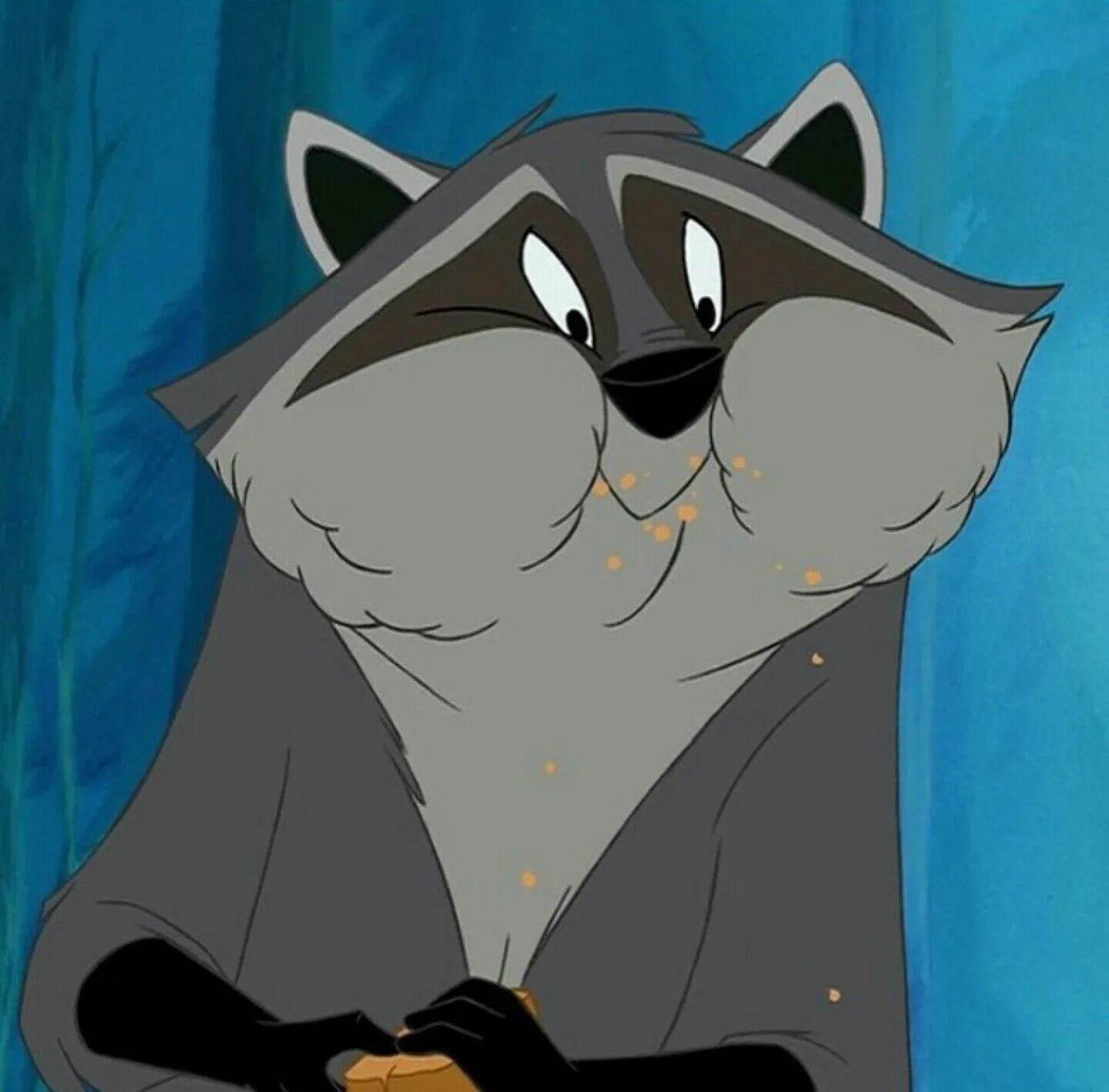 Еноты мультсериал. Мульти енот. Енот полоскун мультик. Анимешный енот. Мульти енот.