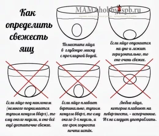 Помогает ли яйцо для голоса. Свежее яйцо выпивать. Сырые яйца для голоса.