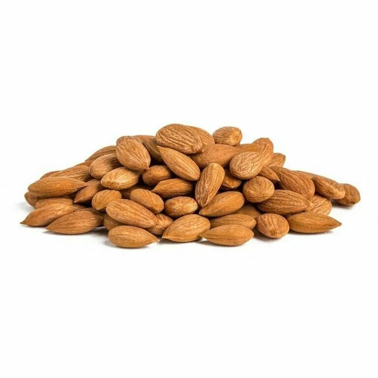 Apricot kernel