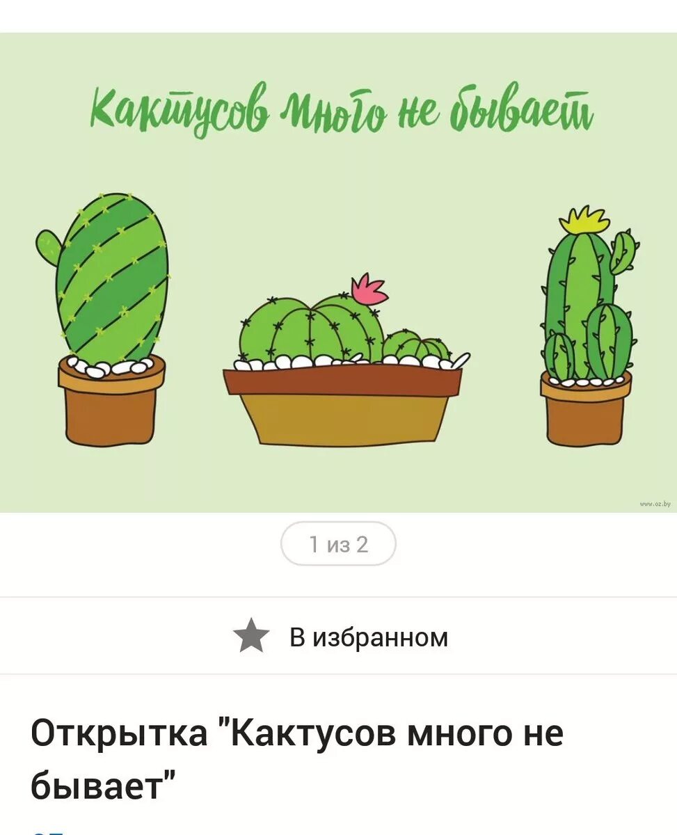 Донцова кактус. Открытка с кактусом. прикольный кактус. открытка с кактусом на день рождения. день кактуса.