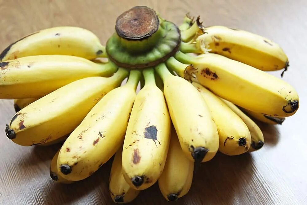 Банан х. Бананы мини. красные мини бананы. mini banana. banana ice.