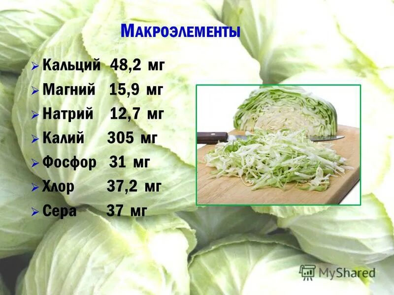 Кальций в капусте белокочанной. Калий в капусте белокочанной. Содержание кальция в капусте. Сколько кальция в капусте.