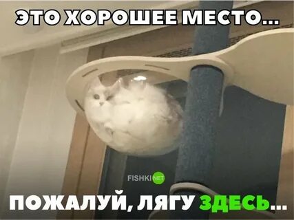Ложись тут