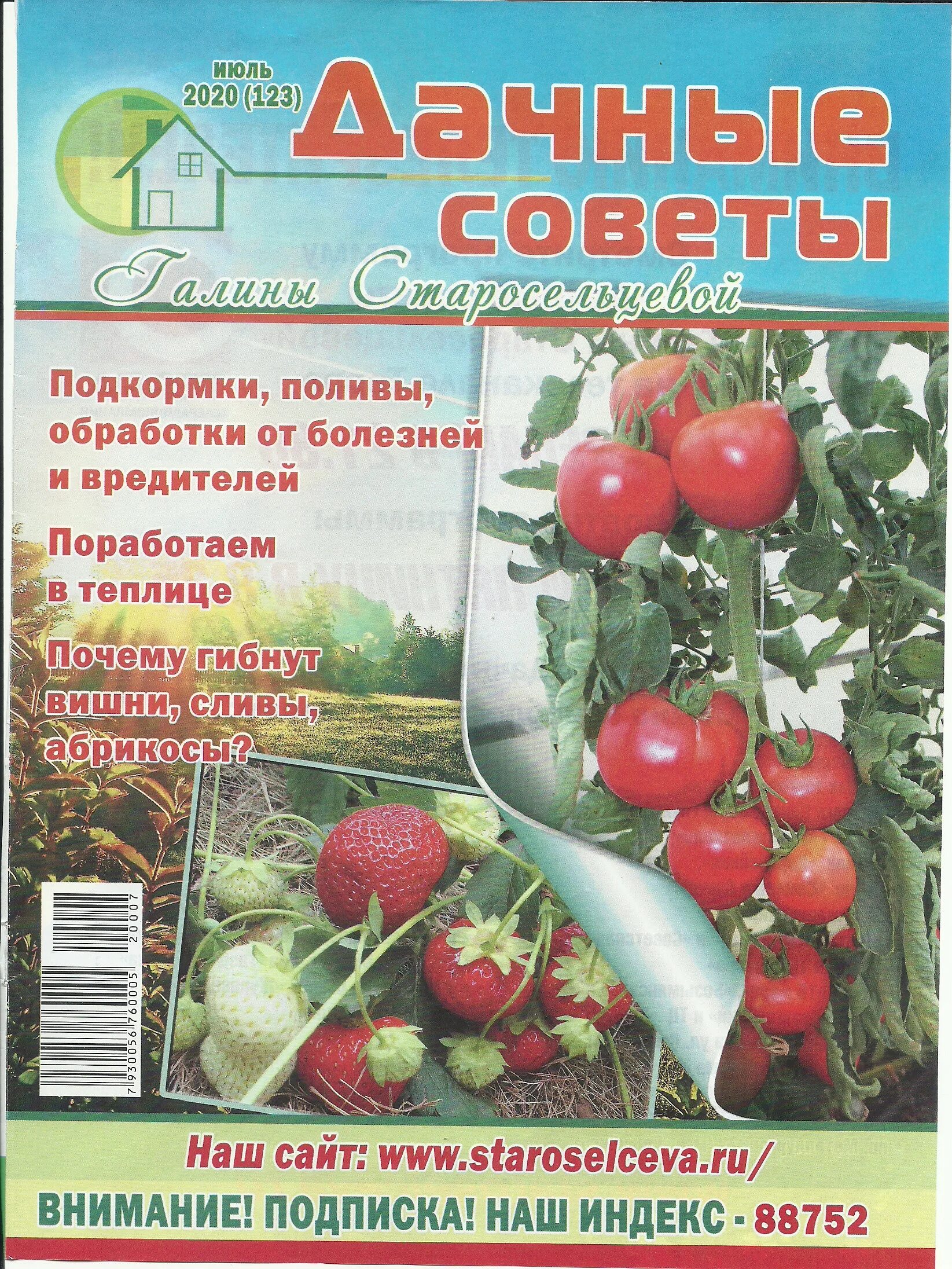 Высота покоса газонной травы. Подстриженный газон. Дачные советы с галиной старосельцевой. Дачные советы с галиной старосельцевой. Старосельцева дачные.