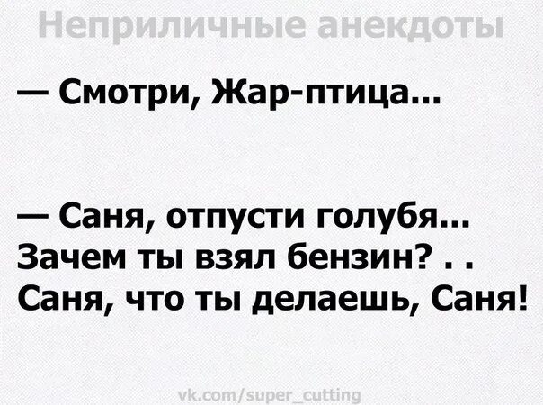 Песня про сашу текст. Шутки про Саню. Анекдоты про Саню смешные. Ржачные анекдоты про Санька. Шутки с саней.