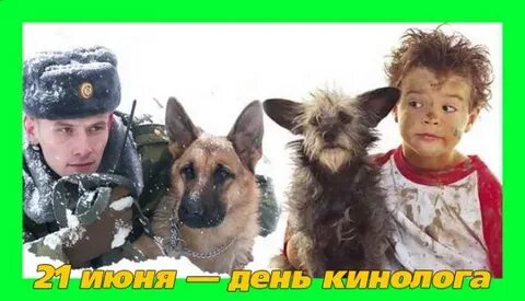 День кинолога смешные картинки