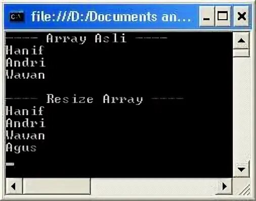 Array resize. Array resize
