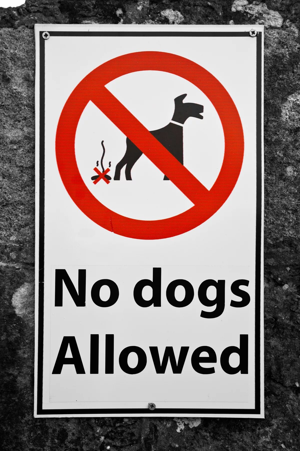 Pets are not allowed. Dogs allowed. no dogs. no dogs allowed sign. not allowed dog.