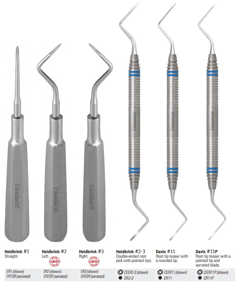 Root tip