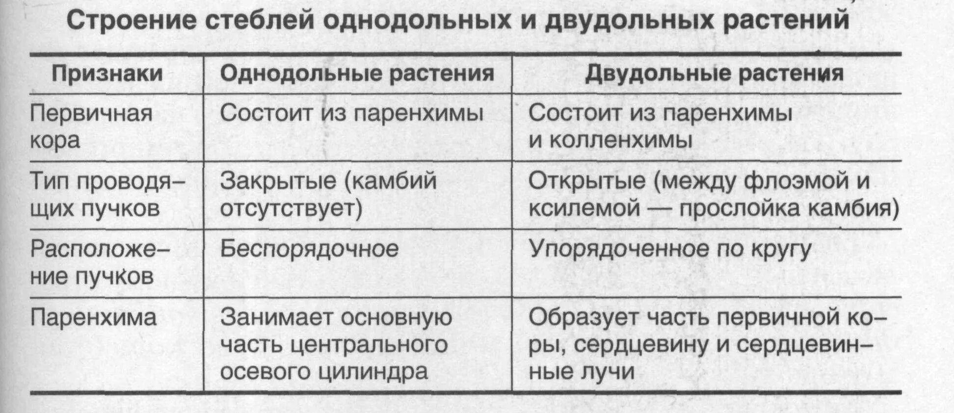 Однодольные растения ткани. Строение стебля однодольных и двудольных растений таблица. Сравнение строения стебля однодольных и двудольных растений. Первичное Анатомическое строение стебля однодольных растений. Особенности строения стебля однодольных и двудольных растений.