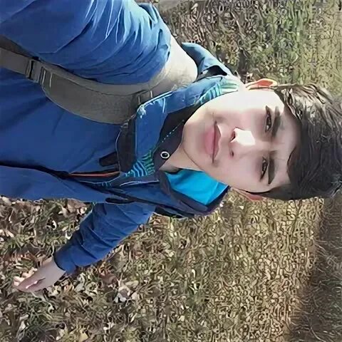 Дарг нет