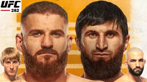 Ufc анкалаев прямой эфир