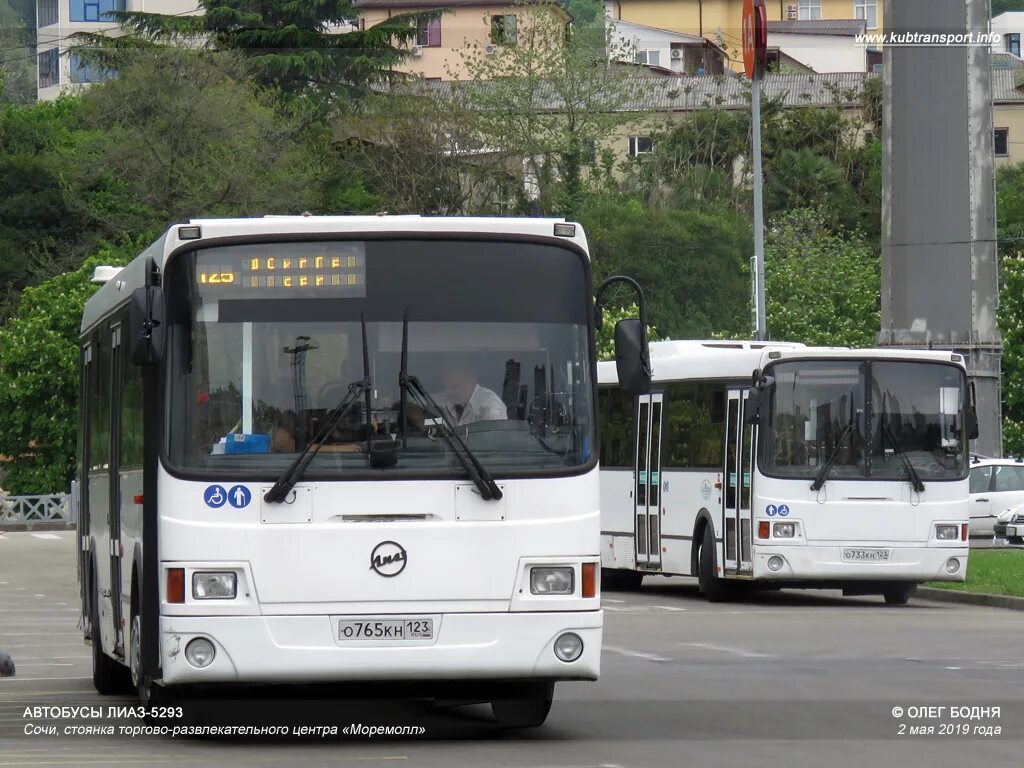 МУП Сочиавтотранс. МУП Сочиавтотранс Сочи. Автобус Сочиавтотранс. Автобусы Сочи. Сайт автобусов сочи