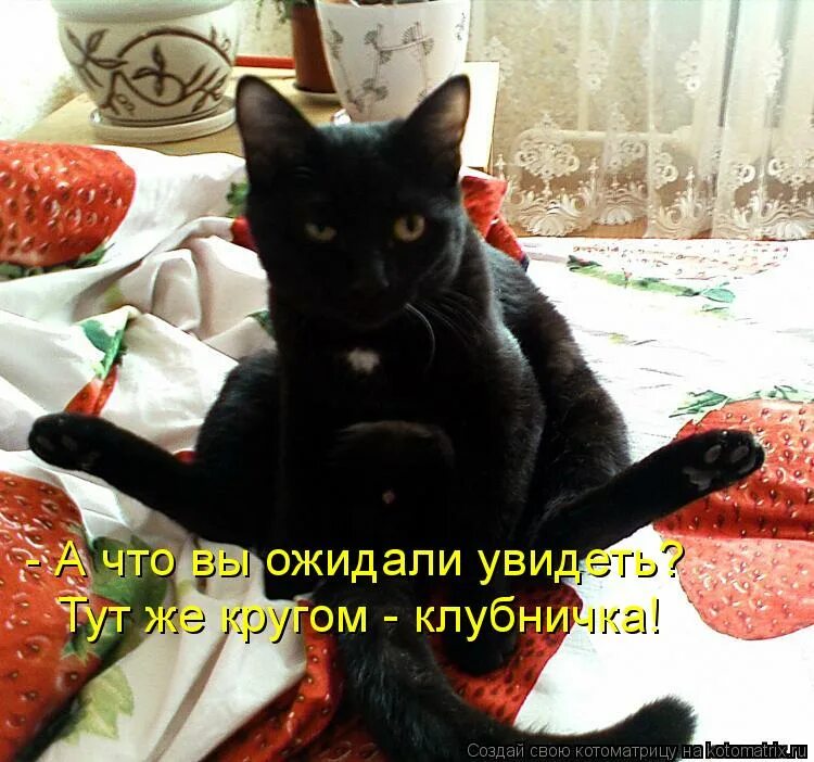 не ожидал увидеть какие. не ожидал мем. ничего нету. подруга психанула. не ожидал увидеть какие.