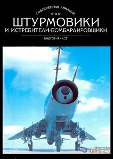 Книга штурмовик