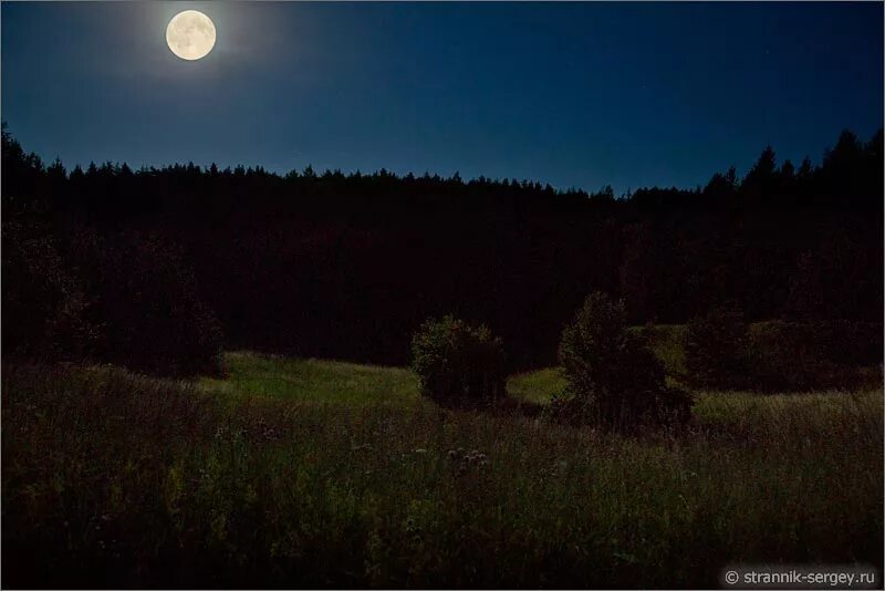 Вдали светит луна. Поле ночью. Летняя ночь. Лес поле ночь. Ночное поле в лесу.