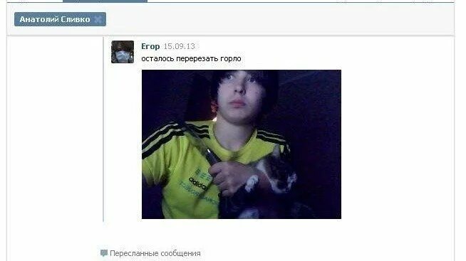 Change org котята в китае петиция. Change org котята в китае петиция
