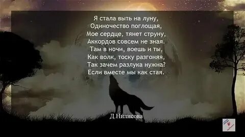 Между нами волки как будто залетают текст