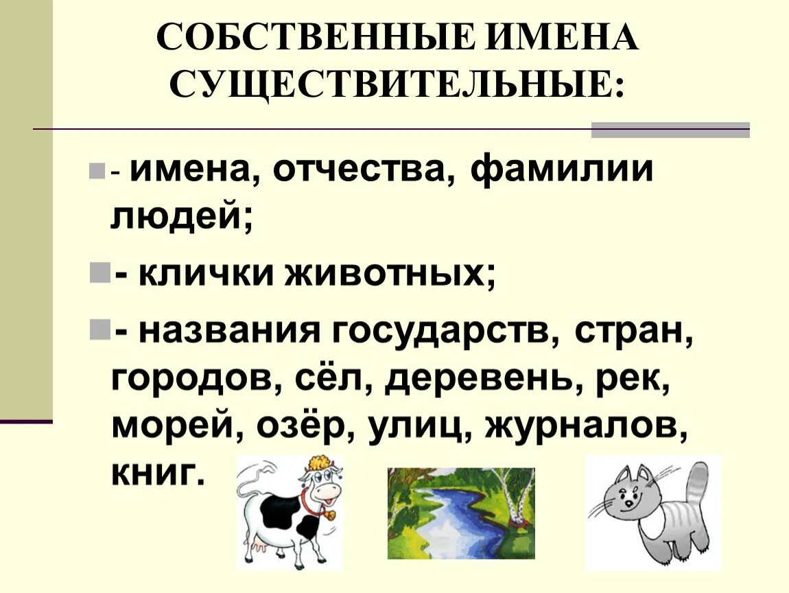 Собственные имена существительные. Имена собственные. Клички животных. Собственное имя существительное.