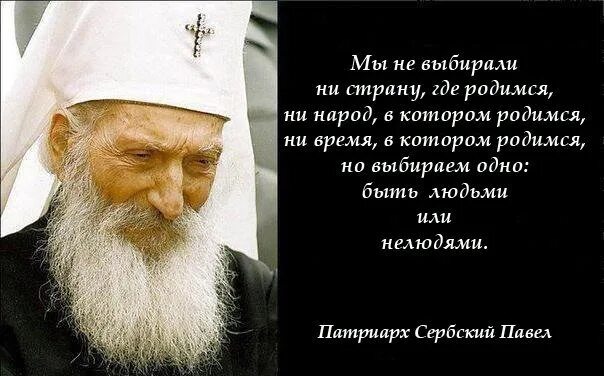 Знаешь почему люди хуже нелюдей песня. Когда гибнут дети цитаты. Нелюди цитаты. Друзья которые защищают твое. Патриарх павел сербский святой.