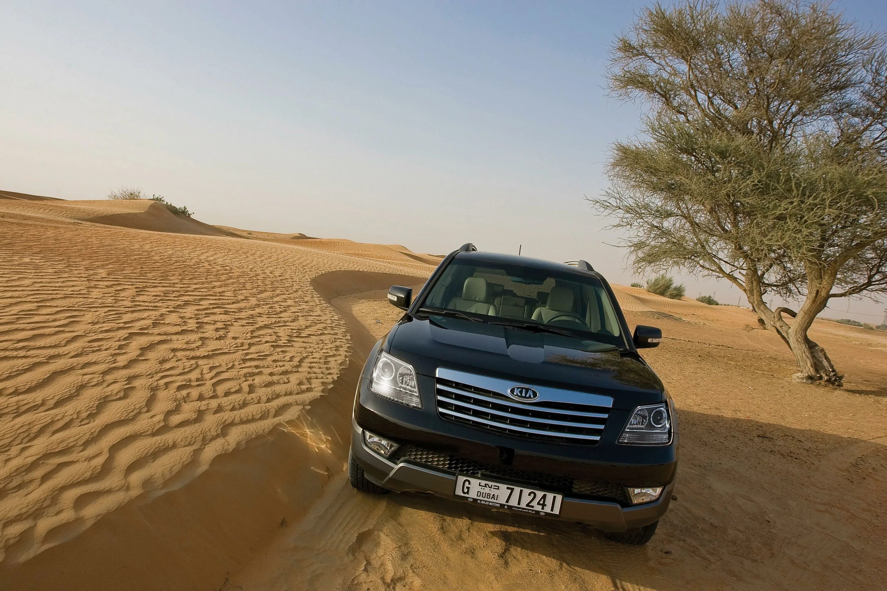 Установить мохаве. Установить мохаве. Mohave 4wd. Установить мохаве. Установить мохаве.