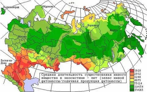 Самые большие запасы фитомассы земного шара сосредоточены