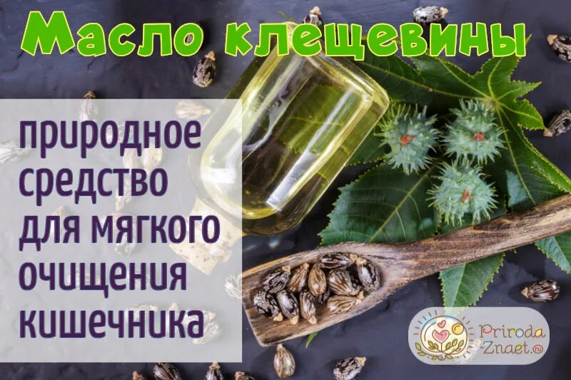 Как принимать масло для очищения кишечника. Масло для очищения кишечника. Касторка для очищения. Касторовое масло для очищения кишечника. Касторовое масло очищает кишечник.