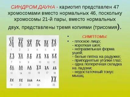 Сколько хромосом у здорового человека должно быть